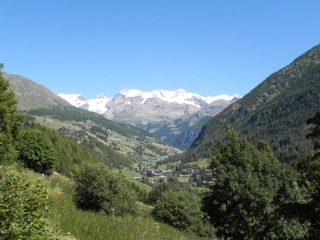 Villa Americana Chambres D'Hotes Champoluc Eksteriør billede